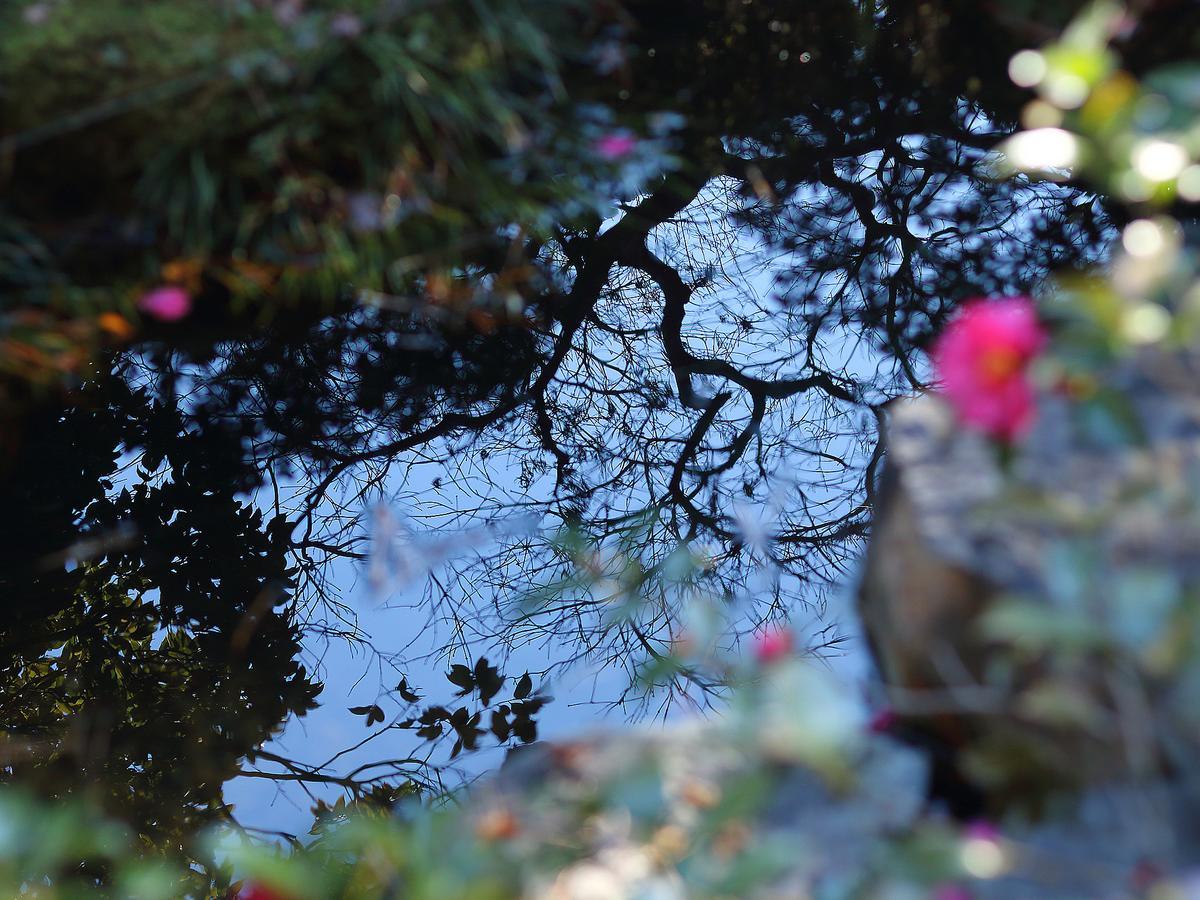 ホテル 南禅寺参道　菊水 京都市 エクステリア 写真